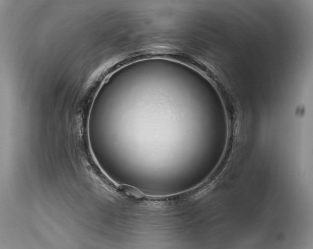 X0000115631402200911101427