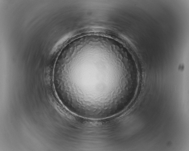 X0000115631403200911101427