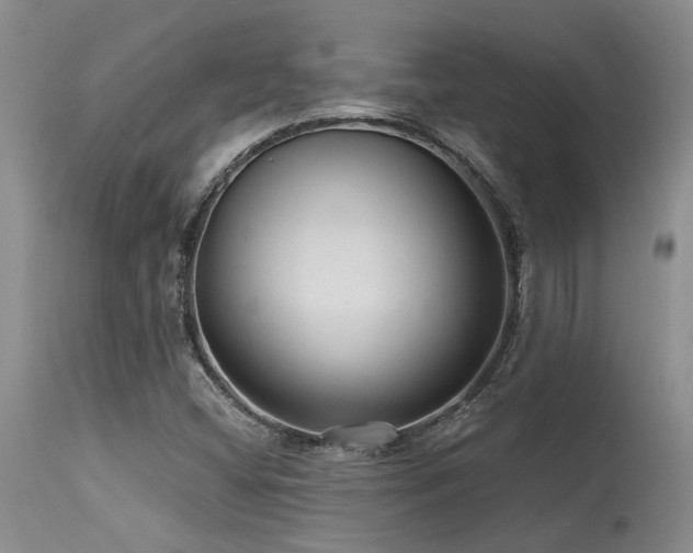 X0000115631404200911101427