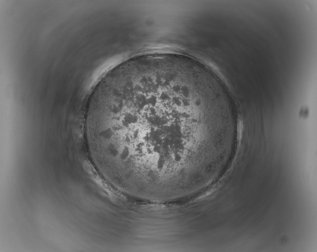 X0000115631405200911101427