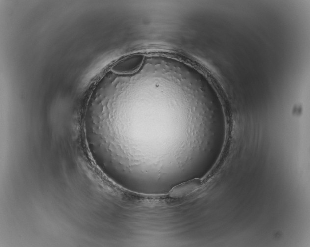 X0000115631407200911101427