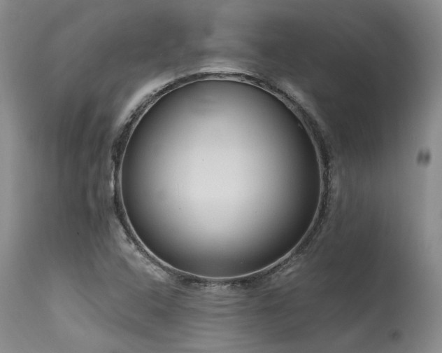 X0000115631408200911101427