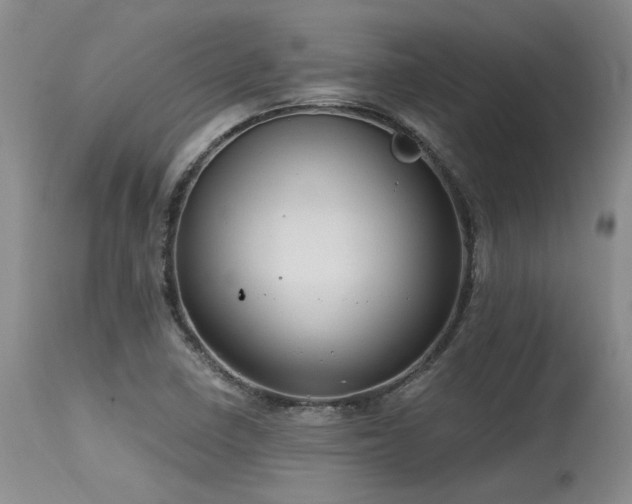 X0000115631410200911101427