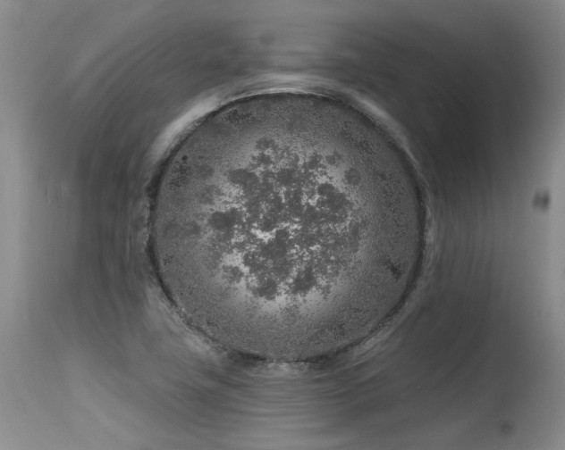 X0000115631411200911101427