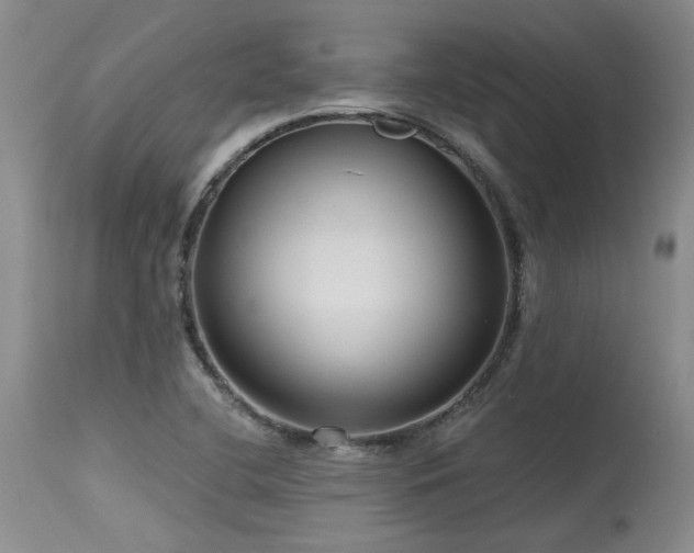 X0000115631412200911101427