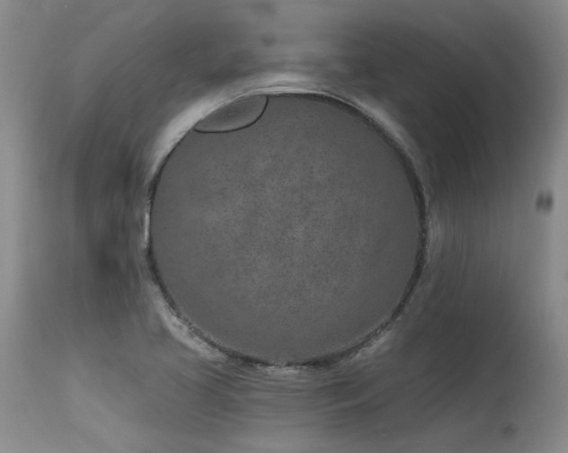 X0000115631413200911101427