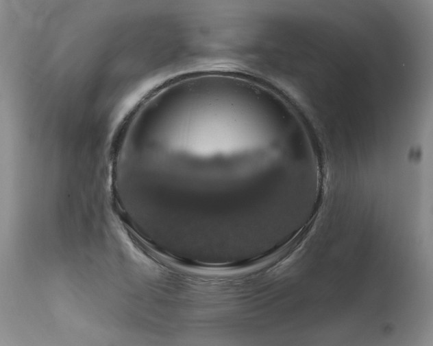 X0000115631414200911101427