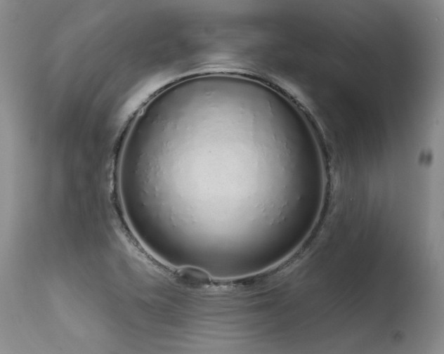 X0000115631415200911101427