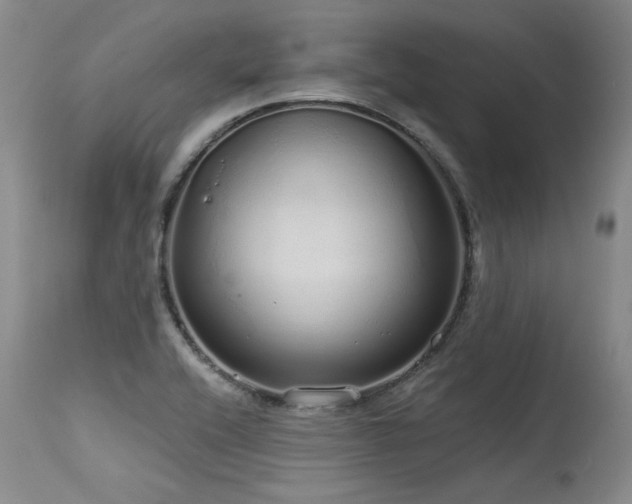 X0000115631416200911101427
