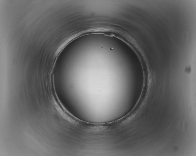 X0000115631417200911101427
