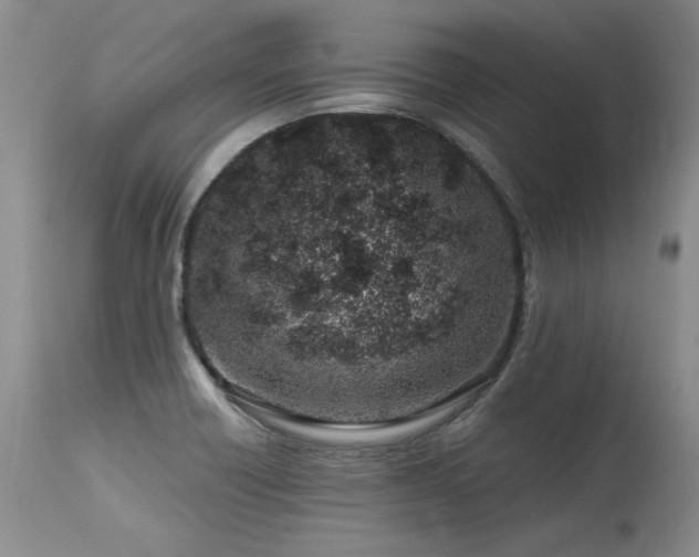 X0000115631418200911101427