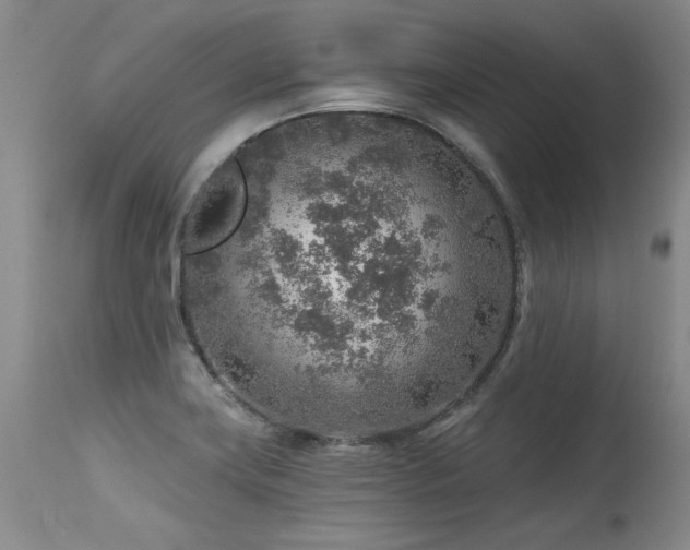 X0000115631419200911101427