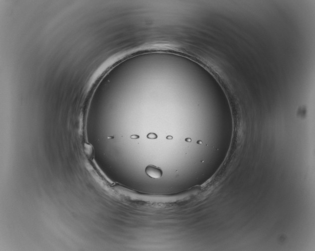 X0000115631420200911101427