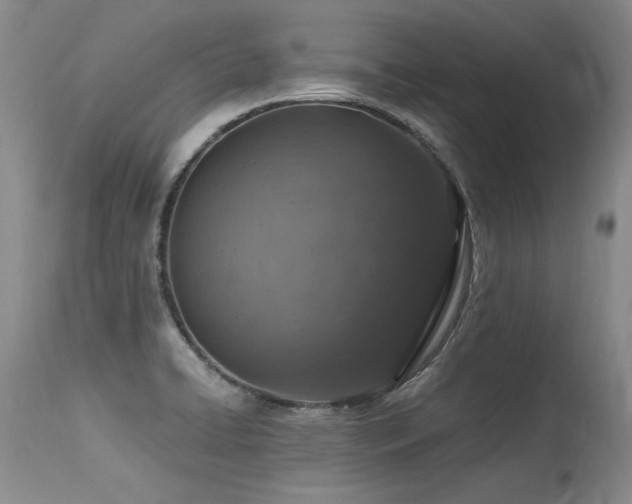 X0000115631422200911101427