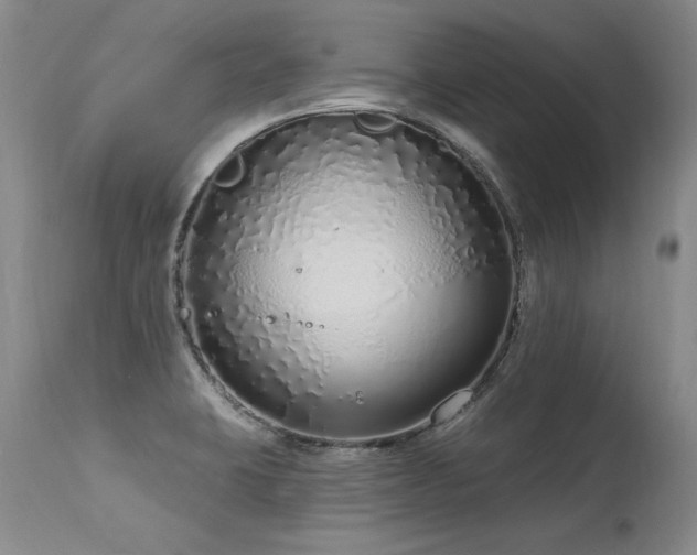 X0000115631423200911101427