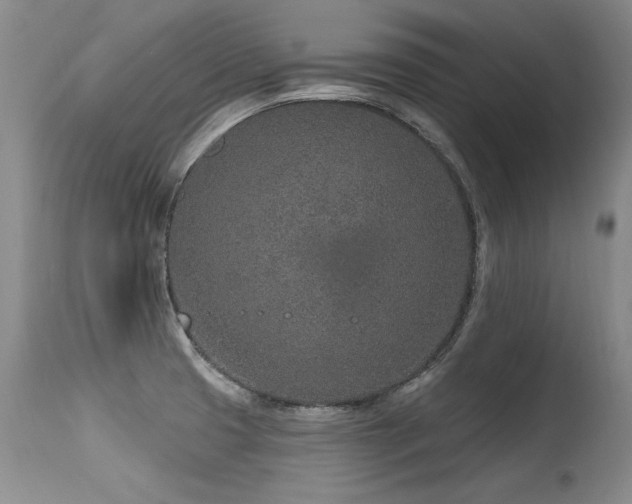 X0000115631425200911101427