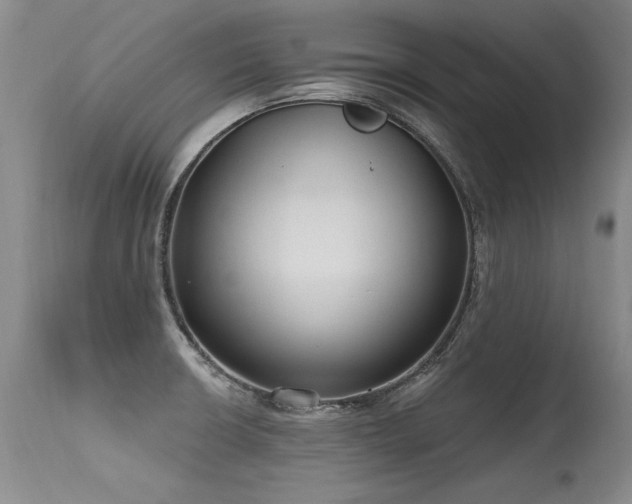 X0000115631426200911101427