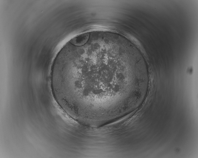 X0000115631427200911101427