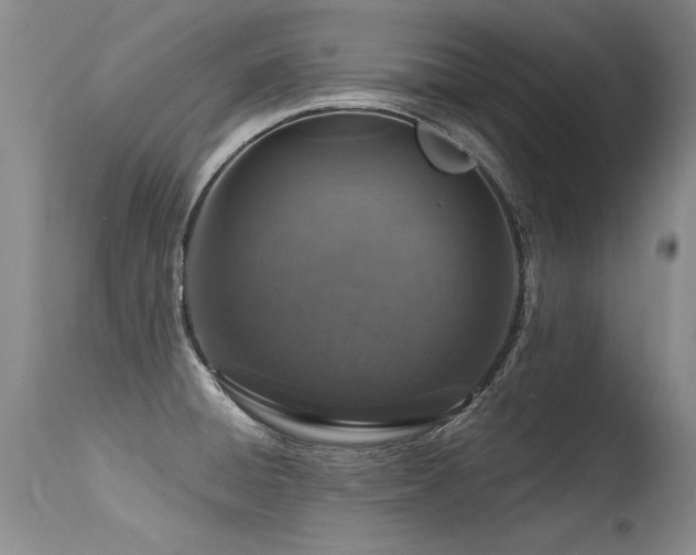 X0000115631428200911101427