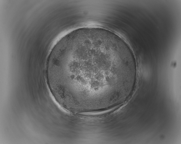 X0000115631429200911101427