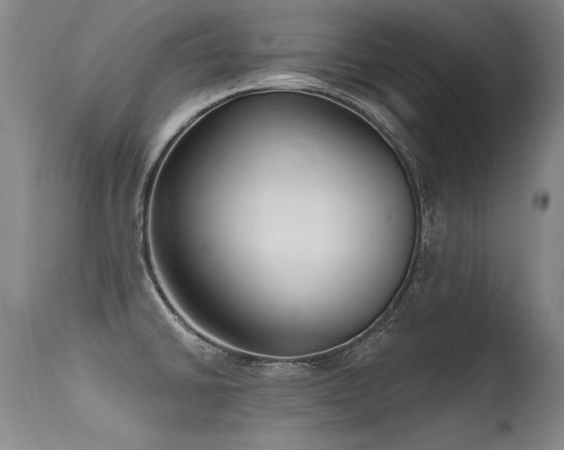 X0000115631430200911101427