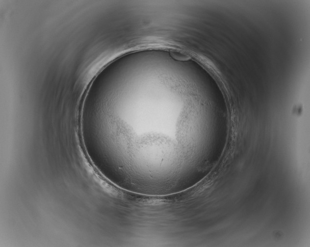 X0000115631431200911101427
