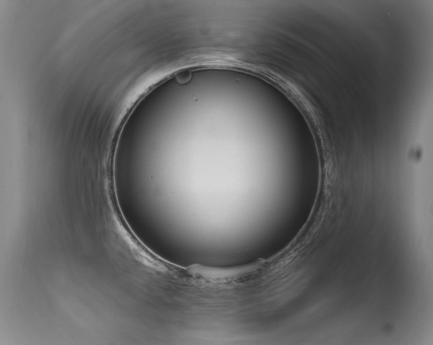 X0000115631432200911101427