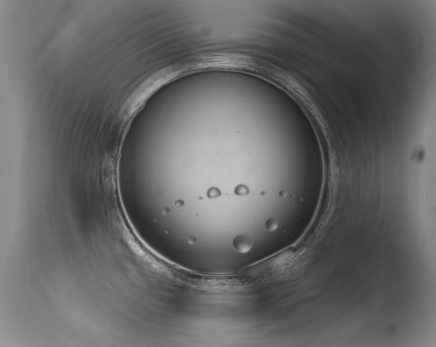 X0000115631433200911101427