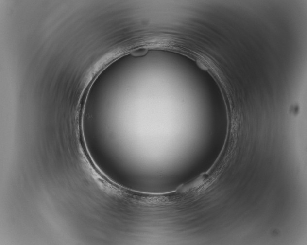 X0000115631434200911101427