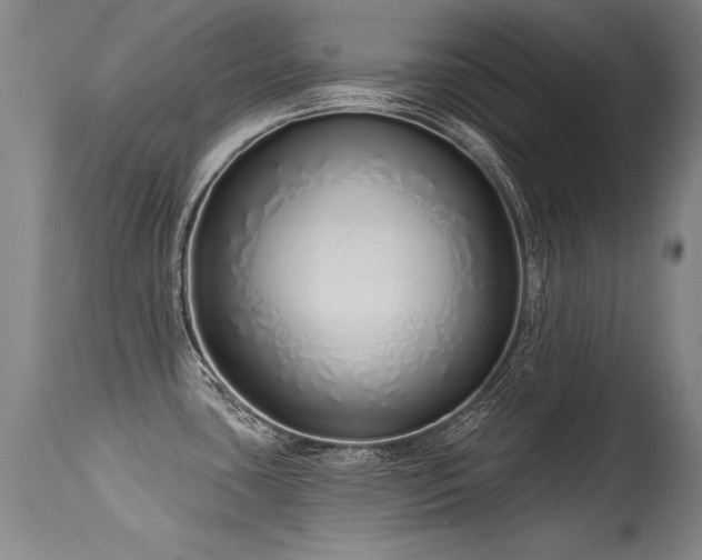 X0000115631435200911101427