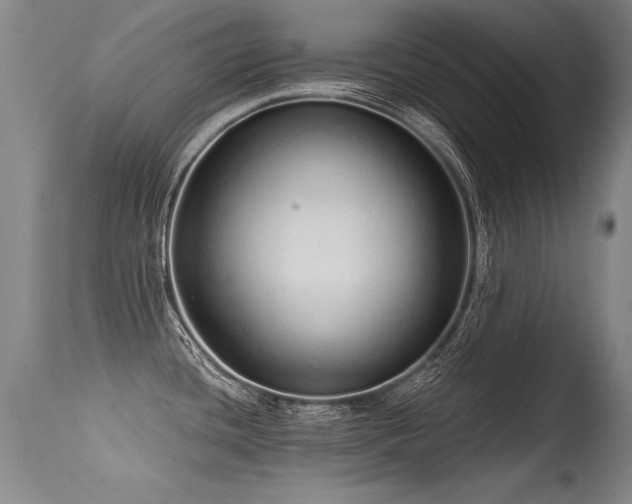 X0000115631436200911101428