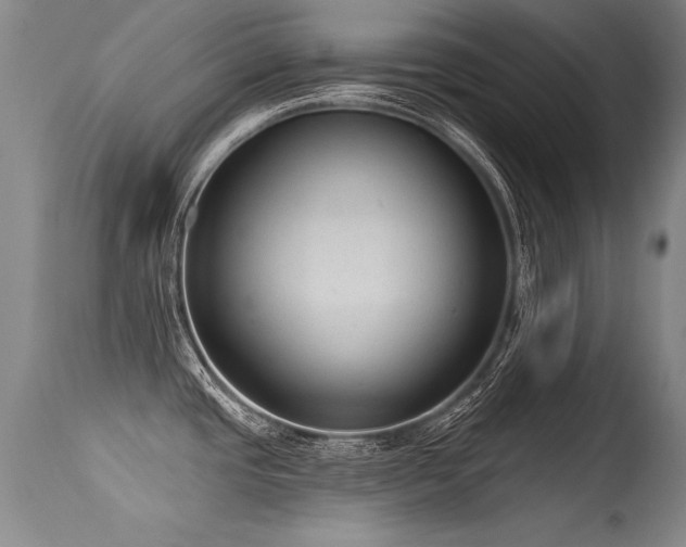 X0000115631437200911101428