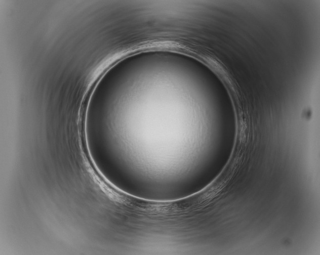X0000115631438200911101428