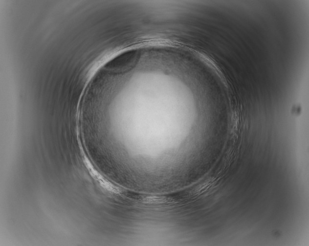 X0000115631439200911101428