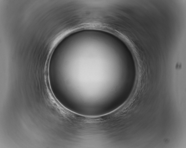 X0000115631440200911101428