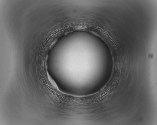 X0000115631441200911101427
