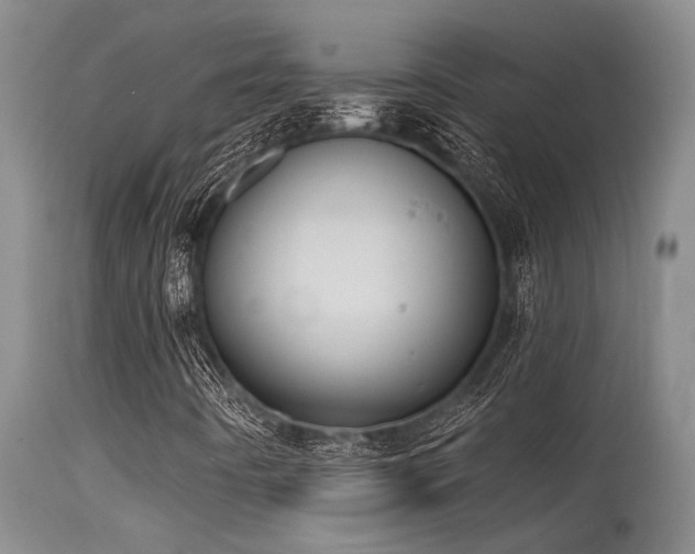 X0000115631442200911101427