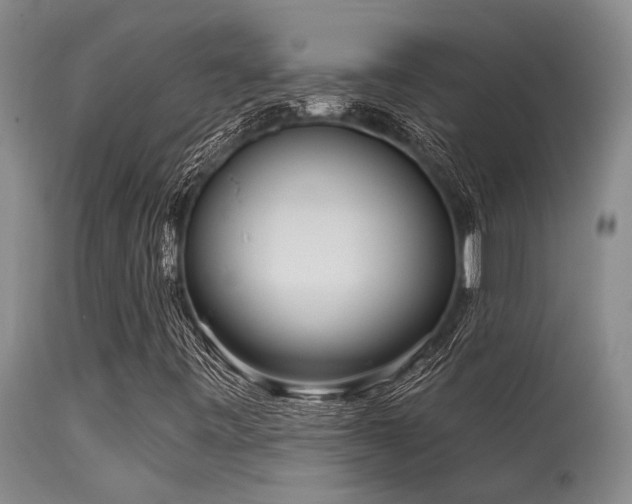 X0000115631443200911101427