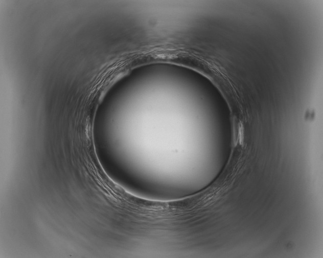 X0000115631444200911101427