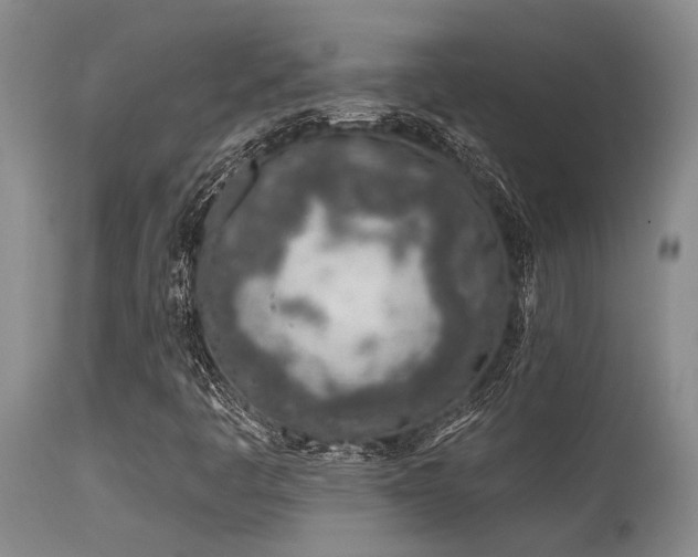 X0000115631445200911101427