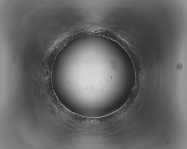 X0000115631447200911101427