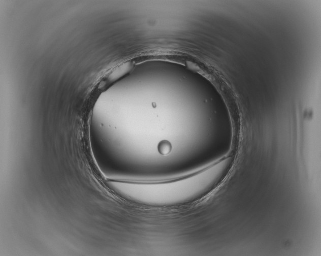 X0000115631449200911101427