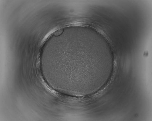 X0000115631450200911101427