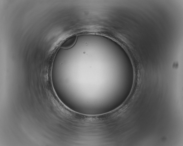 X0000115631451200911101427