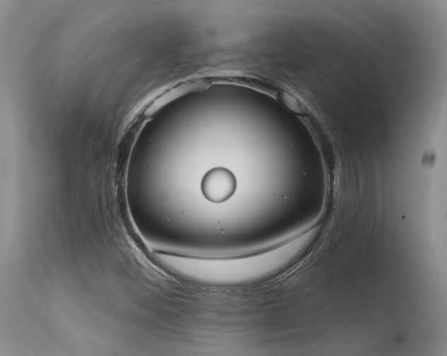 X0000115631452200911101427