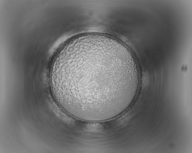 X0000115631454200911101427