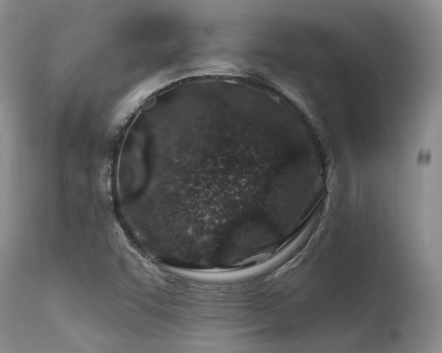 X0000115631455200911101427