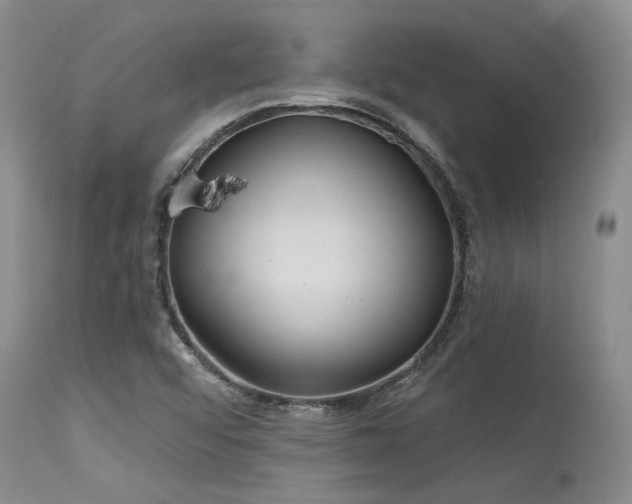X0000115631456200911101427