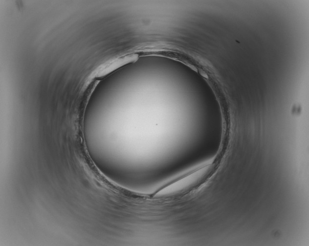 X0000115631457200911101427
