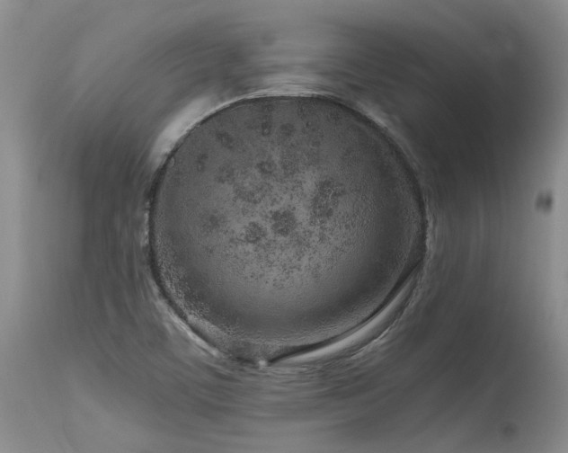 X0000115631459200911101426